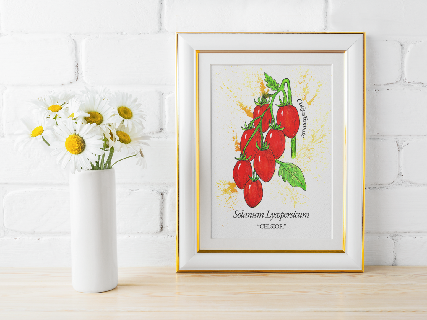Celsior Tomato Art Print – Solanum Lycopersicum Botanical Illustration | Kitchen Wall Art | LenyV Artelier