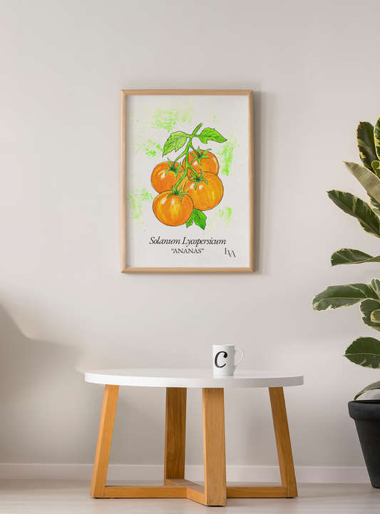 Hand-painted Ananas tomato botanical illustration print — Solanum Lycopersicum "Ananas" — gouache and watercolour on paper by Viviane Fulde, LenyV Artelier