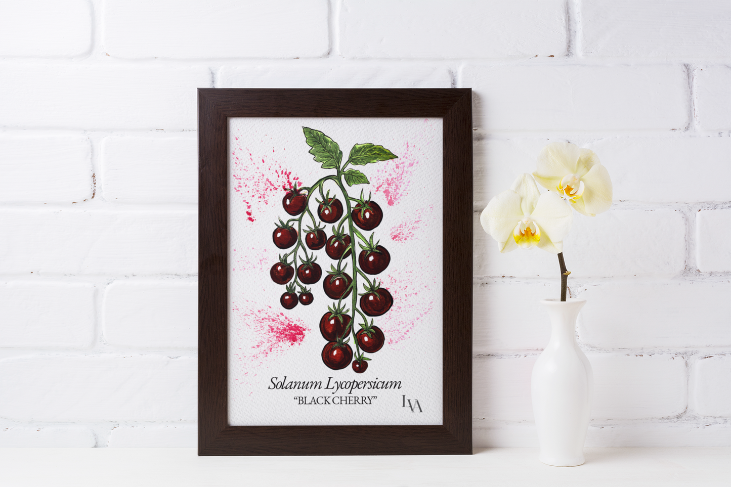 Black Cherry Tomato Art Print – Solanum Lycopersicum Botanical Illustration | Kitchen Wall Art | LenyV Artelier