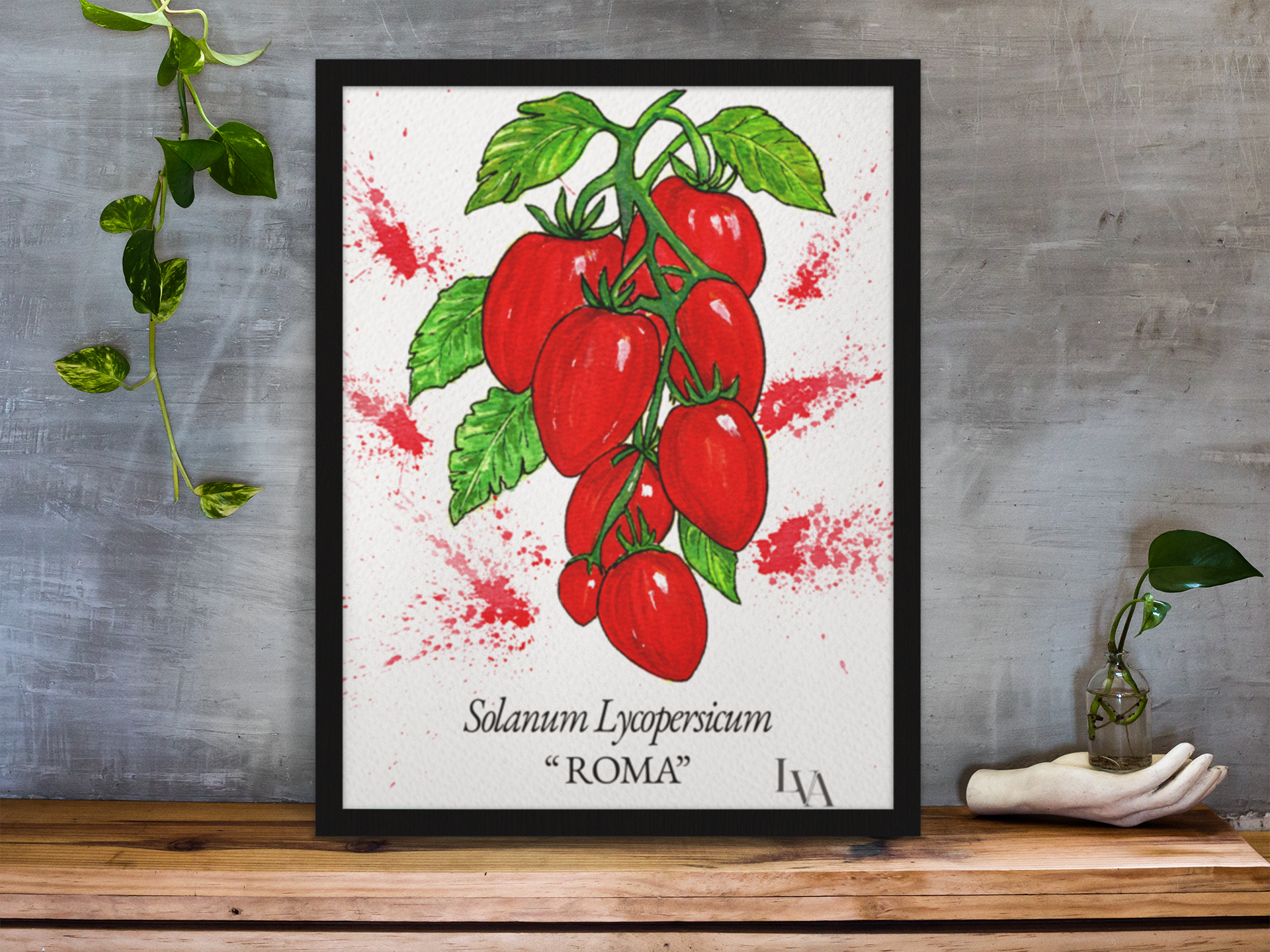 Hand-painted Roma tomato botanical illustration print — Solanum Lycopersicum "Roma" — gouache and watercolour on paper by Viviane Fulde, LenyV Artelier