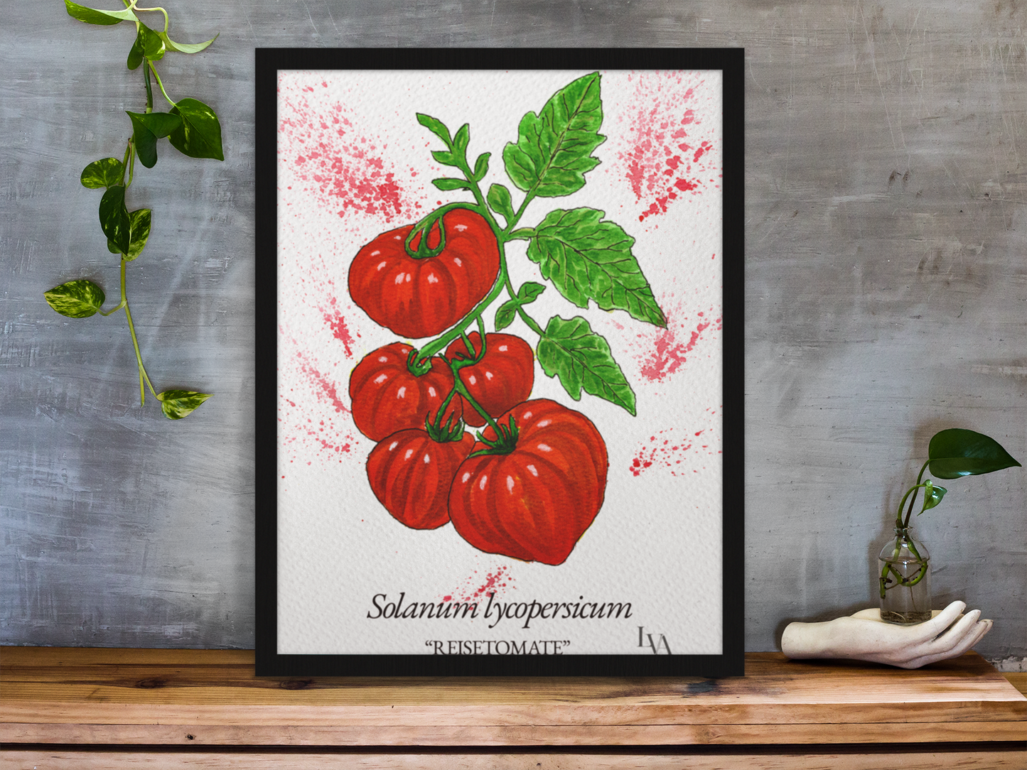 Hand-painted Reisetomate botanical illustration print — Solanum Lycopersicum "Reisetomate" — gouache and watercolour on paper by Viviane Fulde, LenyV Artelier