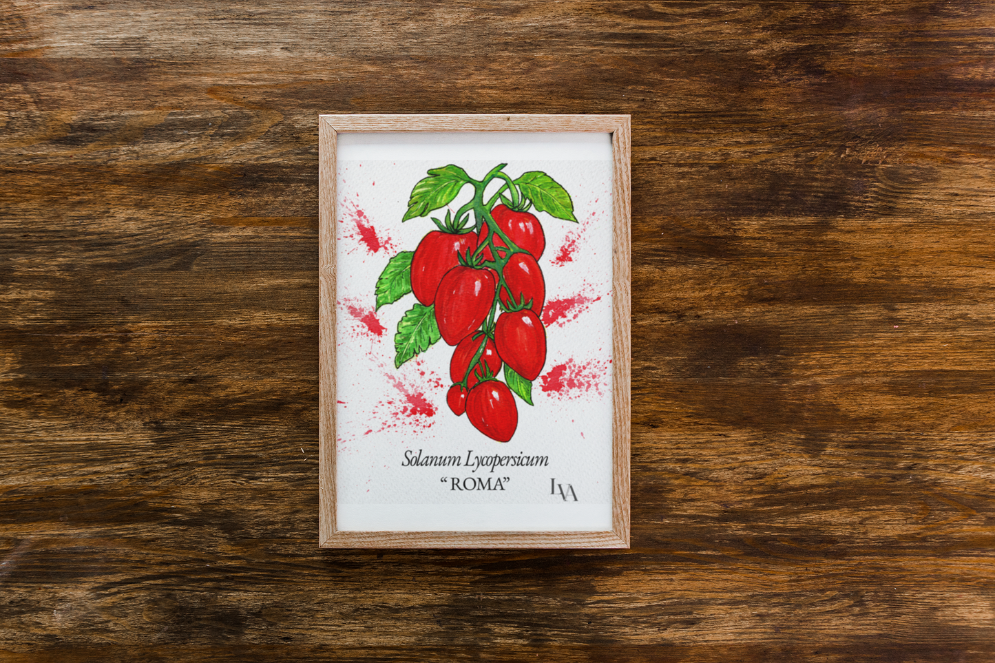 Impression d'art botanique tomate Roma — Solanum Lycopersicum — LenyV Artelier