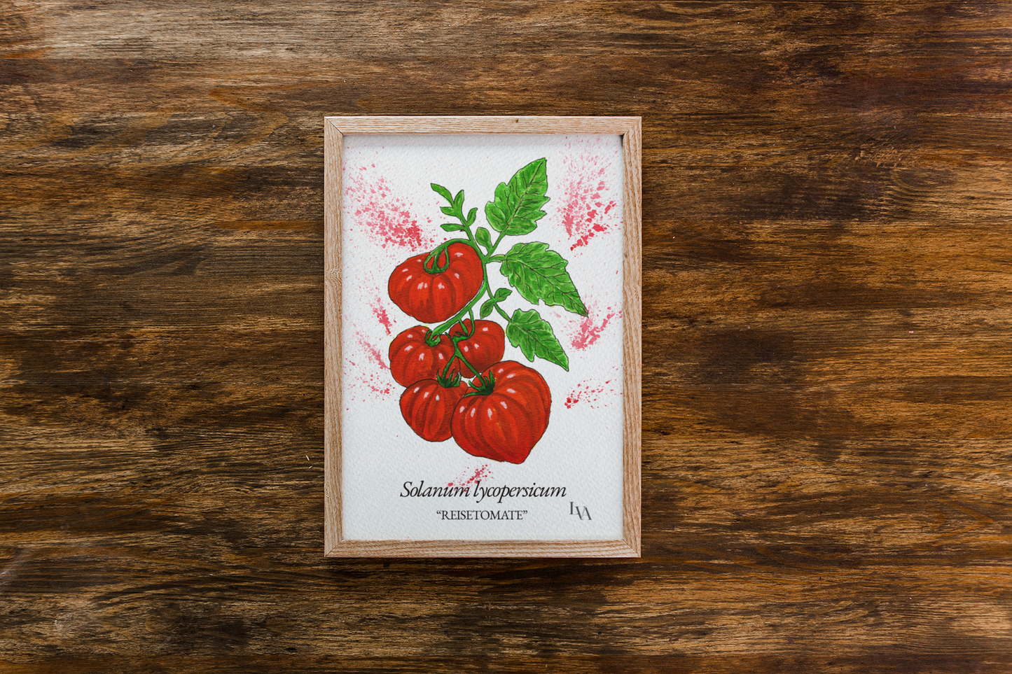 Estampe artistique Reisetomate – Illustration botanique Solanum Lycopersicum | Décoration murale de cuisine | LenyV Artelier