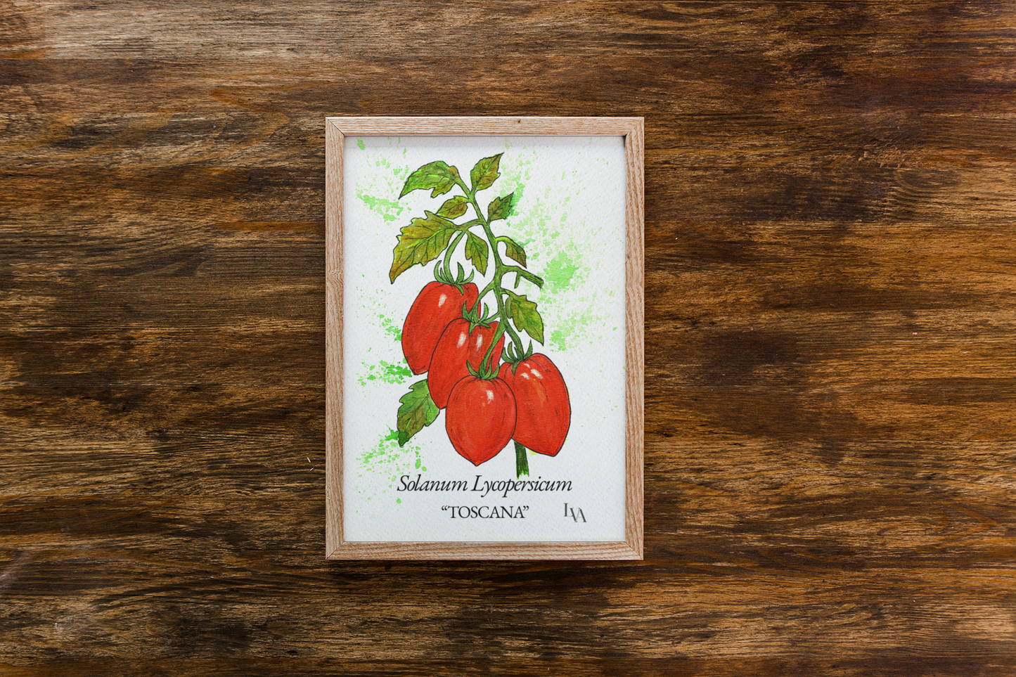 Toskana Tomaten Kunstdruck – Solanum Lycopersicum Botanische Illustration | Küchenwandkunst | LenyV Artelier