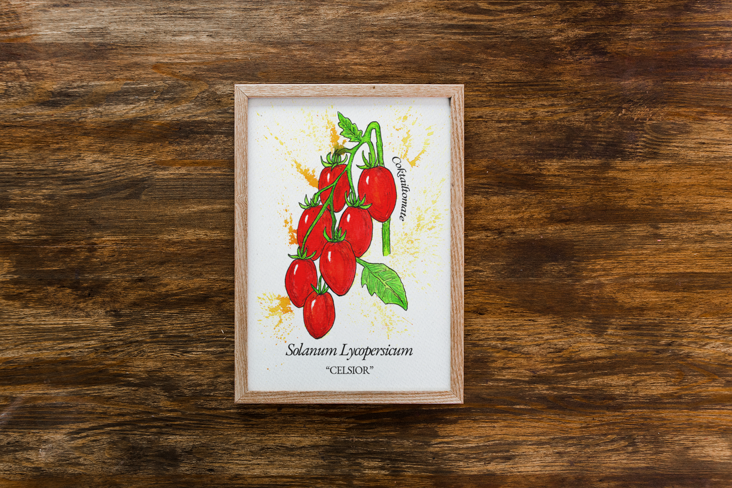 Celsior Tomato Art Print – Solanum Lycopersicum Botanical Illustration | Kitchen Wall Art | LenyV Artelier